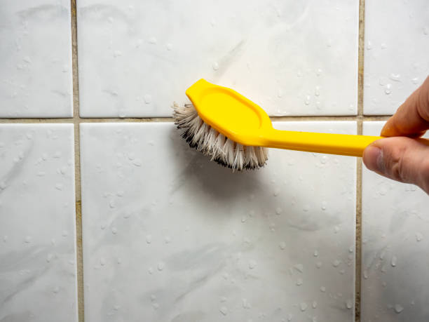 Mold Removal Process in Hillsboro, OH