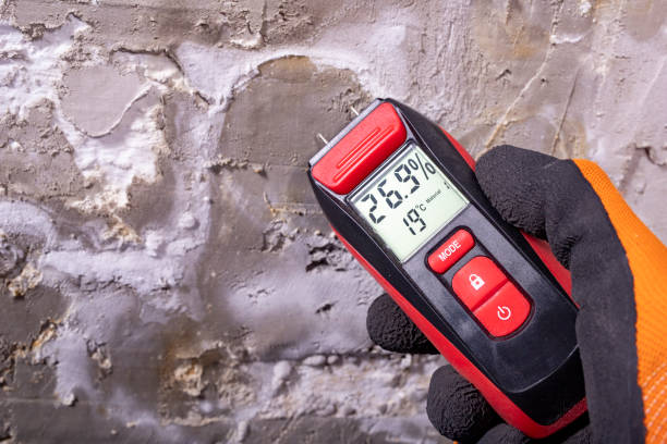  Hillsboro, OH Mold Removal Pros