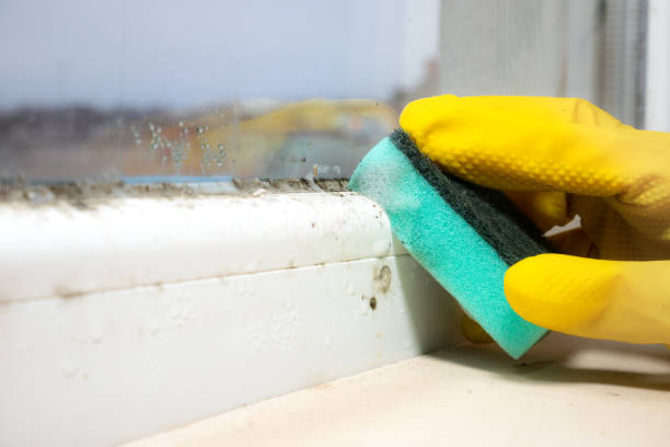 Water Damage Restoration in Hillsboro, OH