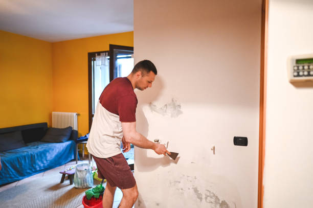 Best Mold Removal Company Near Me  in Hillsboro, OH